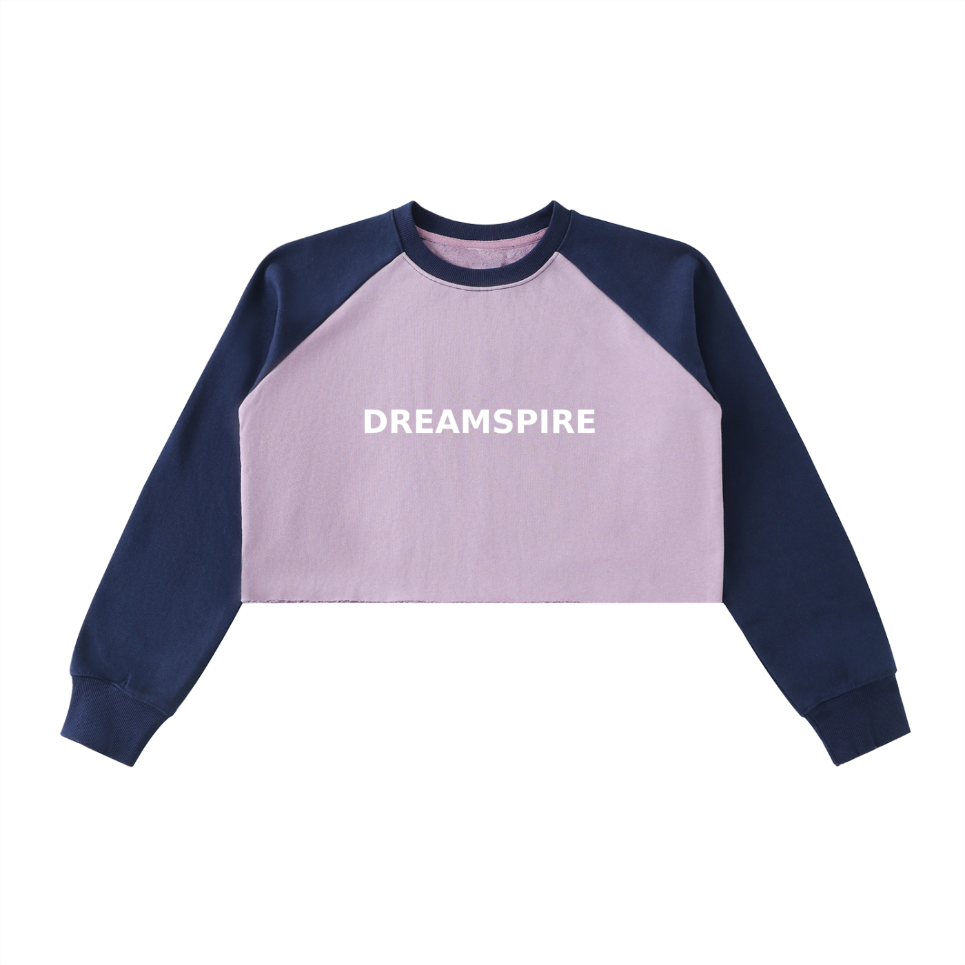 Dreamspire Block Raglan Crop Sweatshirt