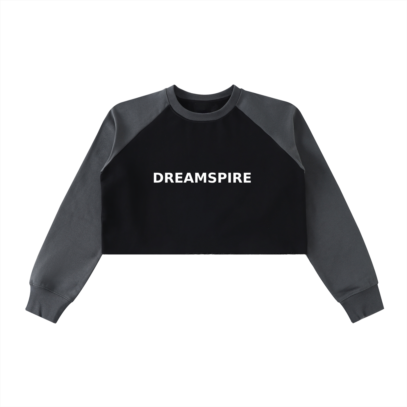 Dreamspire Block Raglan Crop Sweatshirt