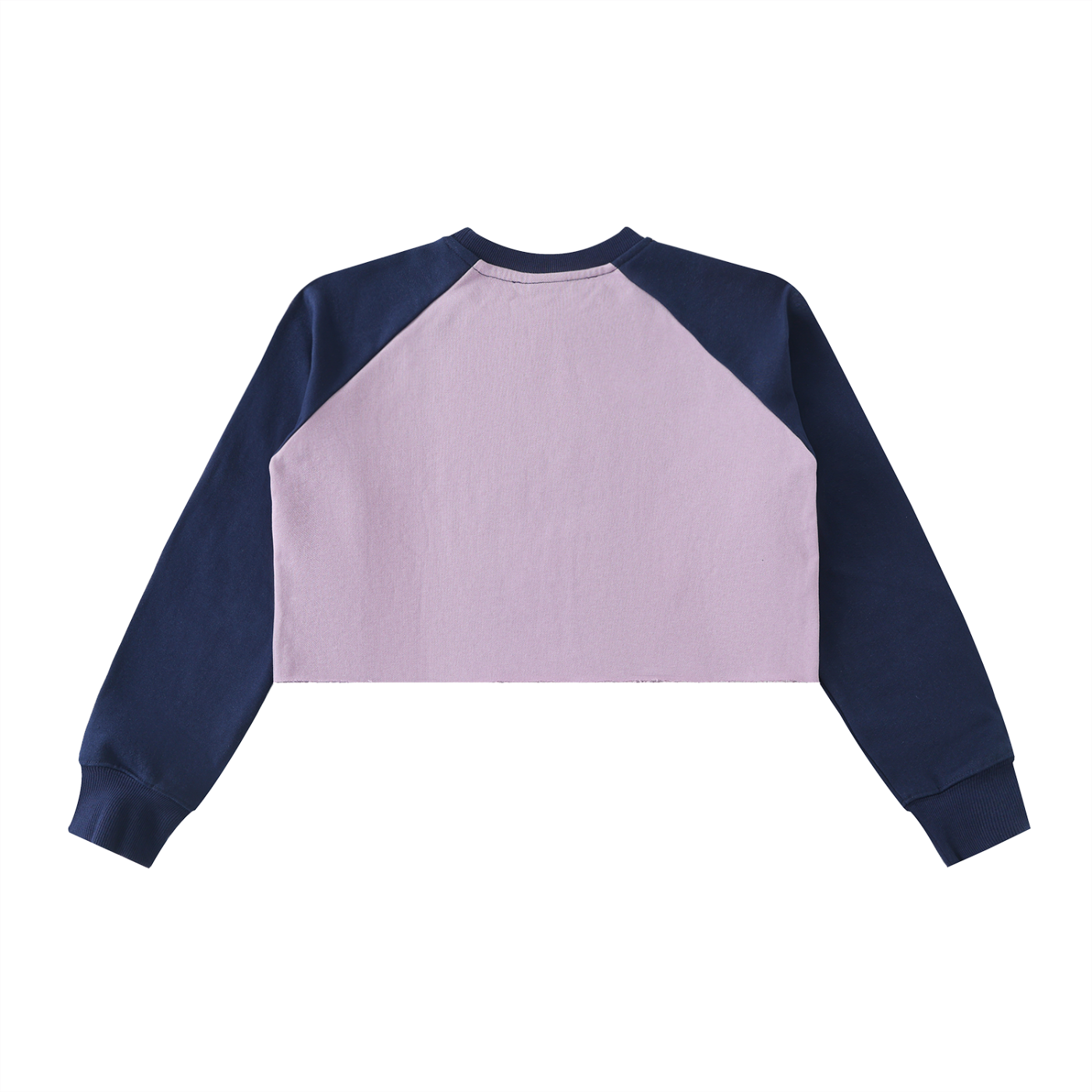 Dreamspire Block Raglan Crop Sweatshirt