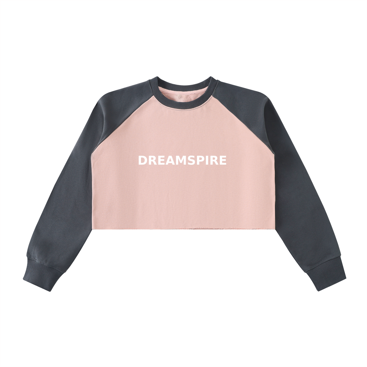 Dreamspire Classic Logo Raw-Hem Color-Block Raglan Crop Sweatshirt