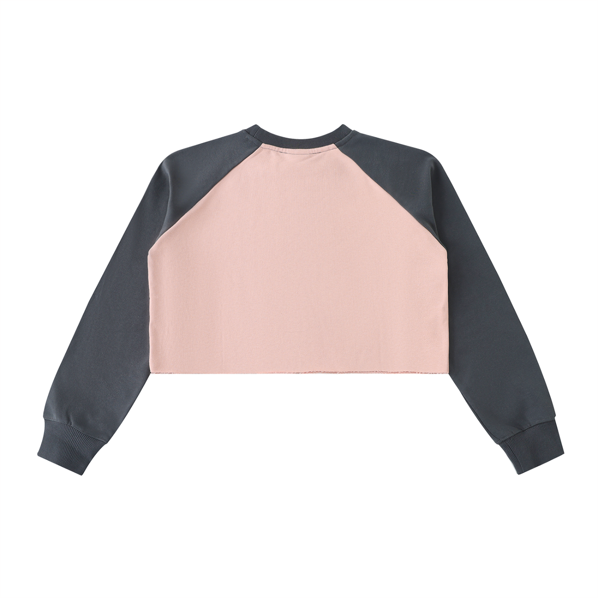 Dreamspire Classic Logo Raw-Hem Color-Block Raglan Crop Sweatshirt
