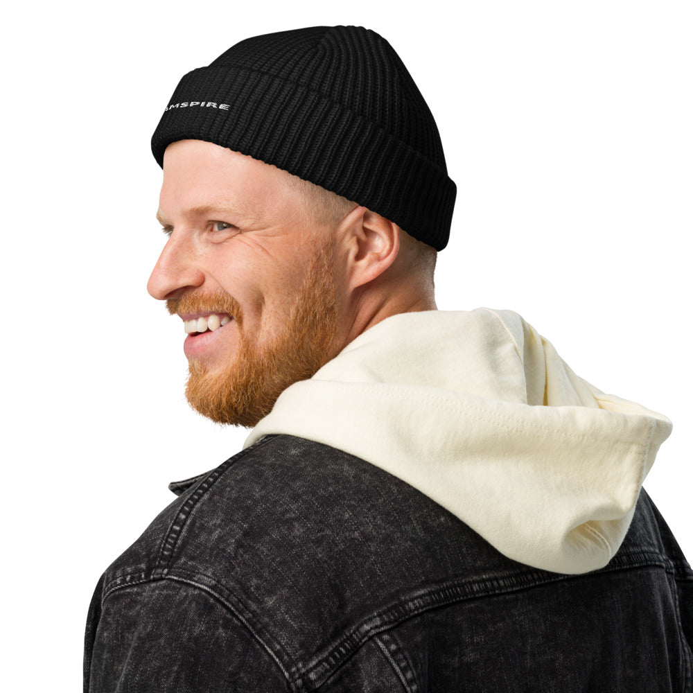 Dreamspire Classic Logo Fisherman beanie