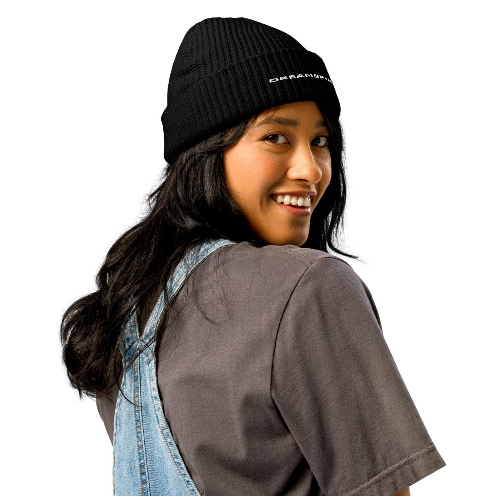 Dreamspire Classic Logo Fisherman beanie