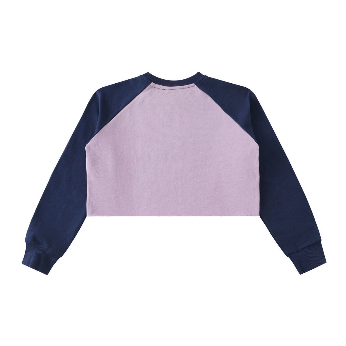 Dreamspire Classic Logo Raw-Hem Color-Block Raglan Crop Sweatshirt