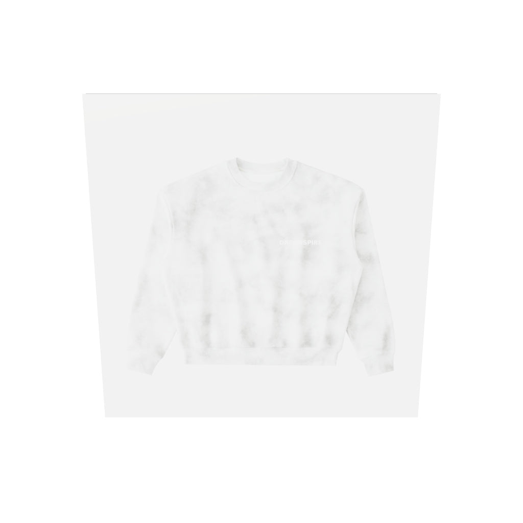 Dreamspire Classic logo Dirty Washed Crew Neck